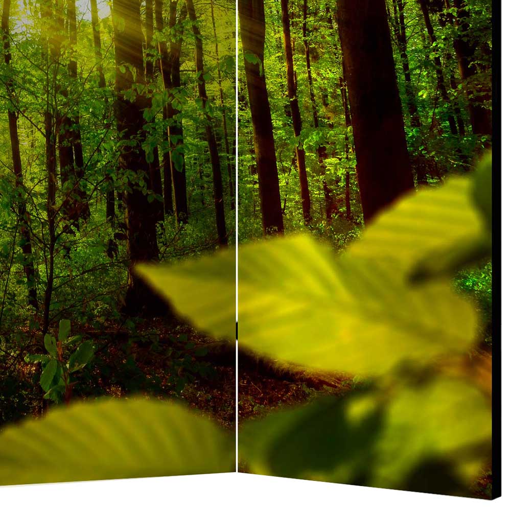 Paravent Raumteiler Florian mit Wald Motiv in Grün Bunt